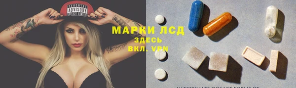 прущие грибы Богданович