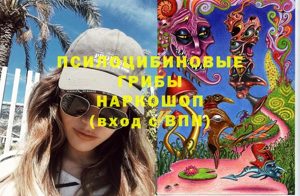 прущие грибы Богданович