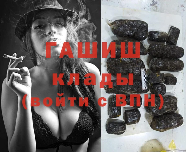 прущие грибы Богданович
