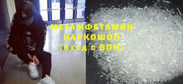 прущие грибы Богданович