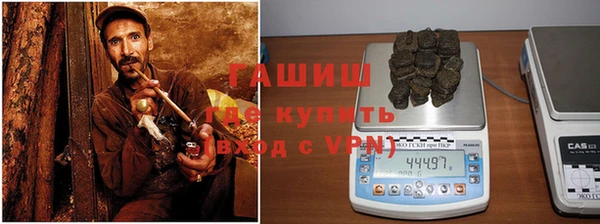 прущие грибы Богданович