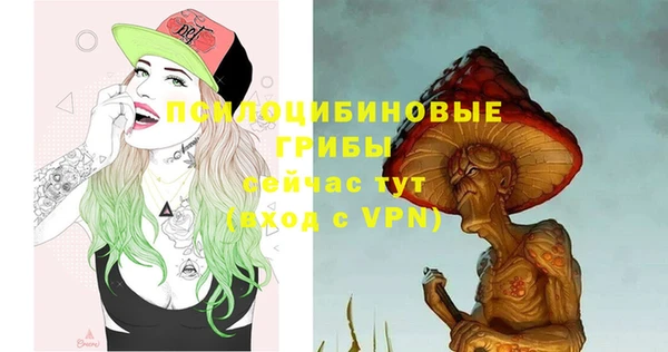 a pvp Богородицк