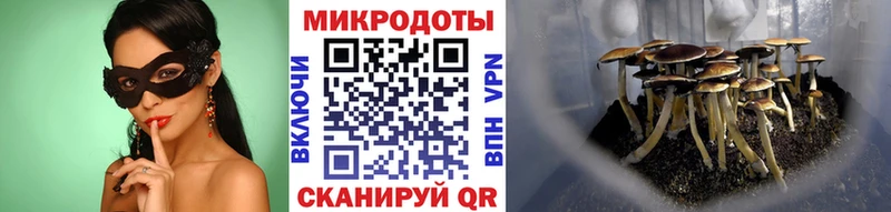 Псилоцибиновые грибы мухоморы  Архангельск 